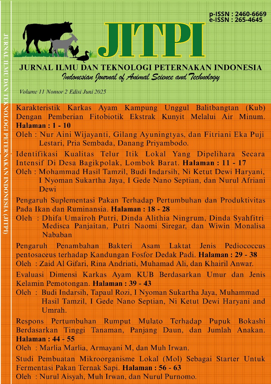 View Vol. 11 No. 1 (2025): June